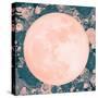 Pink Moon-null-Stretched Canvas