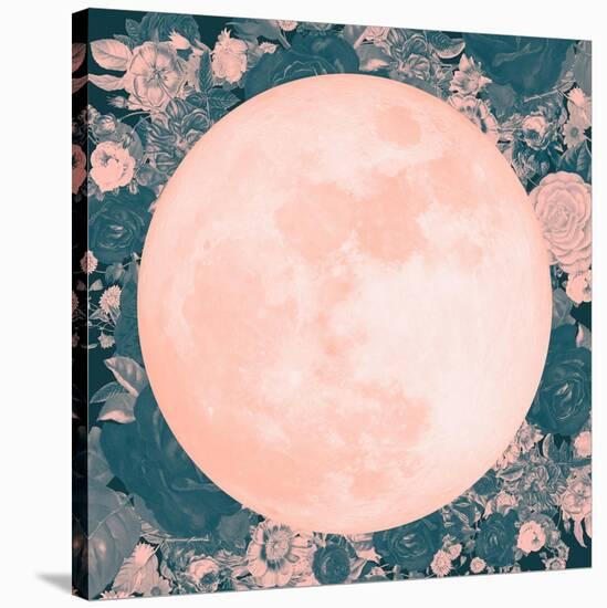 Pink Moon-null-Stretched Canvas