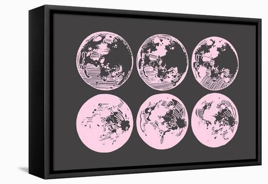 Pink Moons-null-Framed Stretched Canvas