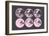 Pink Moons-null-Framed Art Print