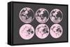 Pink Moons-null-Framed Stretched Canvas