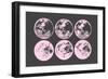 Pink Moons-null-Framed Premium Giclee Print