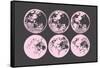 Pink Moons-null-Framed Stretched Canvas