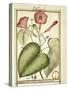 Pink Morning Glory (Ipomoea Carnea), 1789-null-Stretched Canvas