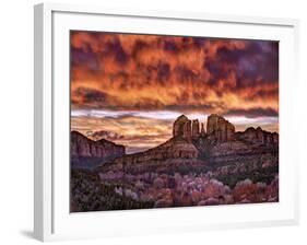 Pink Morning Glory IV-David Drost-Framed Photographic Print