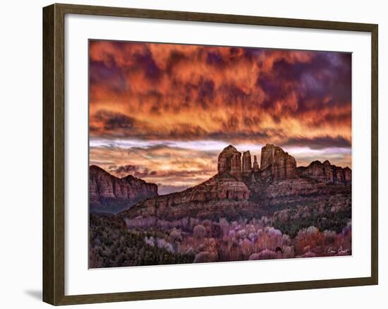 Pink Morning Glory IV-David Drost-Framed Photographic Print