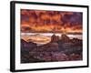 Pink Morning Glory IV-David Drost-Framed Photographic Print