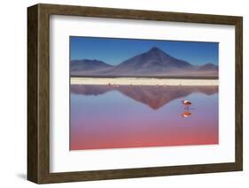 Pink Morning-Margarita Chernilova-Framed Photographic Print