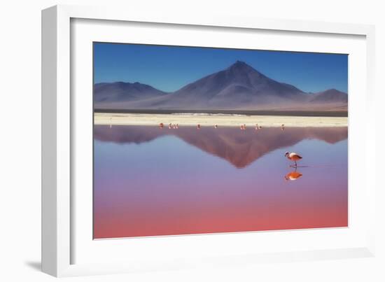 Pink Morning-Margarita Chernilova-Framed Photographic Print