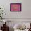 Pink Mums, Washington, USA-Jamie & Judy Wild-Framed Photographic Print displayed on a wall