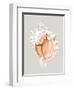 Pink Murex-Michael Willett-Framed Art Print