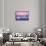 Pink Northern-Philippe Sainte-Laudy-Framed Stretched Canvas displayed on a wall