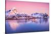 Pink Northern-Philippe Sainte-Laudy-Stretched Canvas