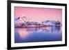 Pink Northern-Philippe Sainte-Laudy-Framed Photographic Print