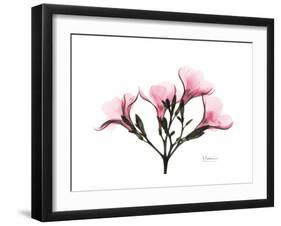 Pink Oleander Peace-Albert Koetsier-Framed Art Print