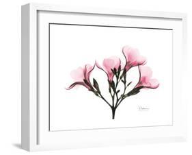 Pink Oleander Peace-Albert Koetsier-Framed Art Print