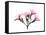 Pink Oleander Peace-Albert Koetsier-Framed Stretched Canvas