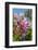 Pink Oleander-Lisa Engelbrecht-Framed Photographic Print