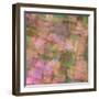 Pink, orange and green floral montage abstract.-Jaynes Gallery-Framed Photographic Print