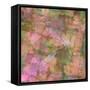 Pink, orange and green floral montage abstract.-Jaynes Gallery-Framed Stretched Canvas