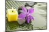 Pink Orchid and Stones with Yellow Candle on Wet Banana Leaf-crystalfoto-Mounted Photographic Print