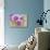 Pink orchid blooms-Anna Miller-Stretched Canvas displayed on a wall