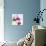 Pink Orchid Close up 02-Tom Quartermaine-Giclee Print displayed on a wall