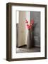 Pink Orchid Flowers in Wicker Withe Vase-Hamsterman-Framed Photographic Print