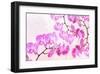 Pink Orchid I-null-Framed Art Print