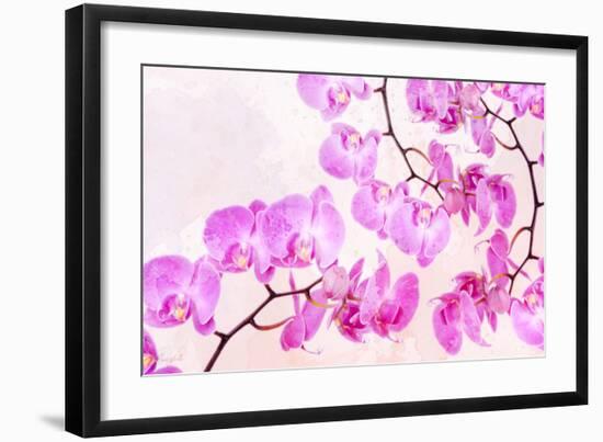 Pink Orchid I-null-Framed Art Print