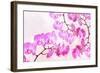 Pink Orchid I-null-Framed Art Print