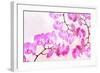 Pink Orchid I-null-Framed Art Print