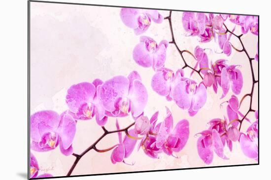 Pink Orchid I-null-Mounted Art Print