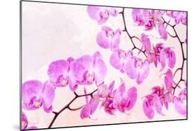 Pink Orchid I-null-Mounted Art Print