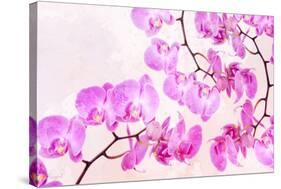 Pink Orchid I-null-Stretched Canvas