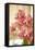 Pink Orchid I-Karyn Millet-Framed Stretched Canvas