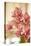 Pink Orchid I-Karyn Millet-Stretched Canvas