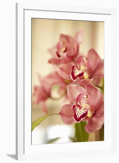 Pink Orchid I-Karyn Millet-Framed Photographic Print