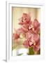 Pink Orchid I-Karyn Millet-Framed Photographic Print