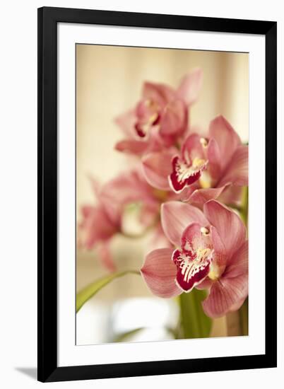 Pink Orchid I-Karyn Millet-Framed Photographic Print