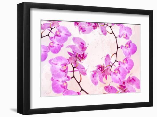 Pink Orchid II-null-Framed Art Print