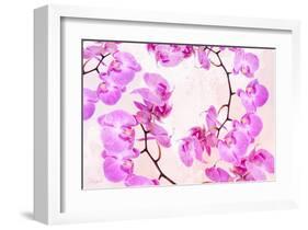 Pink Orchid II-null-Framed Art Print