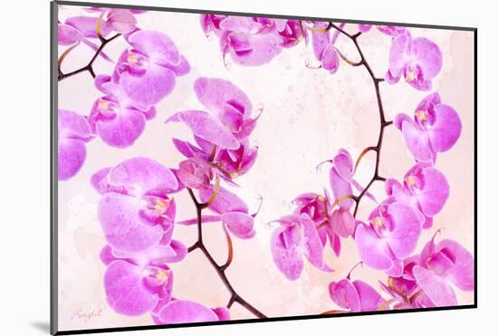 Pink Orchid II-null-Mounted Art Print