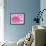 Pink Orchid in the Phalaenopsis Family, San Francisco, CA USA-Julie Eggers-Framed Photographic Print displayed on a wall