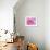 Pink Orchid in the Phalaenopsis Family, San Francisco, CA USA-Julie Eggers-Framed Photographic Print displayed on a wall