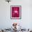 Pink Orchid (Phalaenopsis) as Table Decoration-Hartmut Kiefer-Framed Photographic Print displayed on a wall