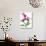 Pink Orchid-Sally Crosthwaite-Giclee Print displayed on a wall