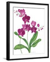 Pink Orchid-Sally Crosthwaite-Framed Giclee Print