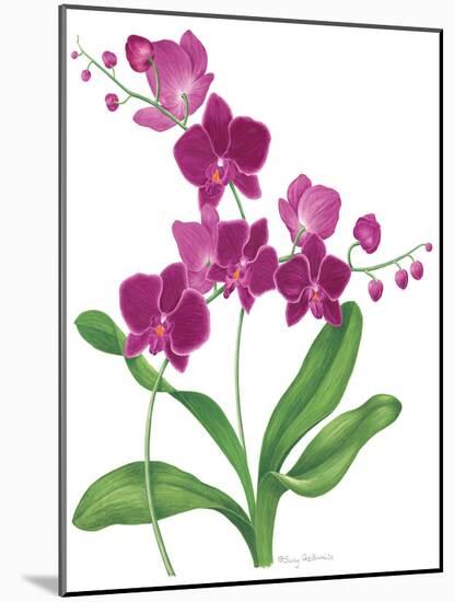 Pink Orchid-Sally Crosthwaite-Mounted Giclee Print
