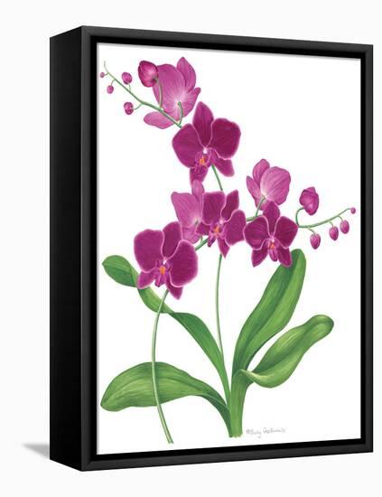 Pink Orchid-Sally Crosthwaite-Framed Stretched Canvas